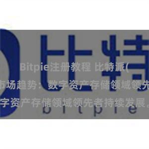 Bitpie注册教程 比特派(Bitpie)钱包市场趋势：数字资产存储领域领先者持续发展。