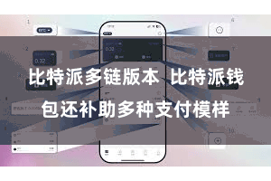 比特派多链版本  比特派钱包还补助多种支付模样