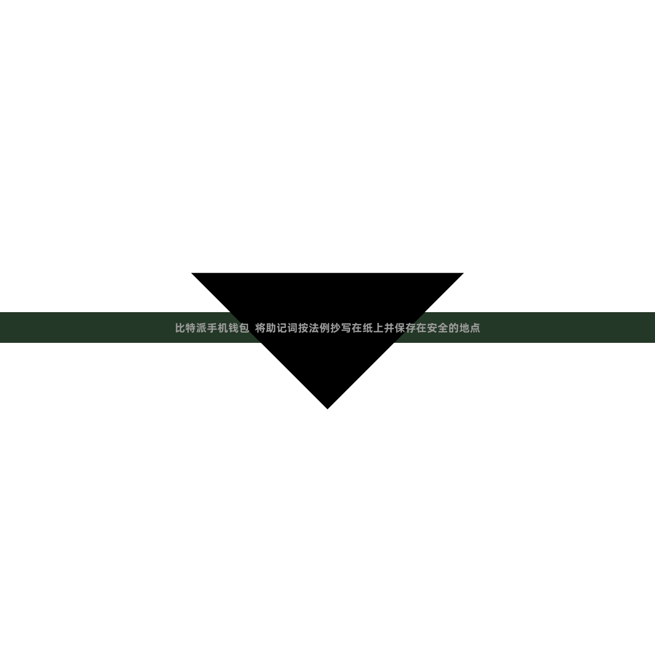 比特派手机钱包  将助记词按法例抄写在纸上并保存在安全的地点