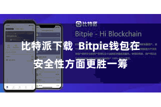 比特派下载  Bitpie钱包在安全性方面更胜一筹
