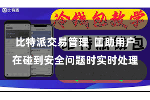 比特派交易管理  匡助用户在碰到安全问题时实时处理