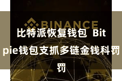 比特派恢复钱包  Bitpie钱包支抓多链金钱科罚