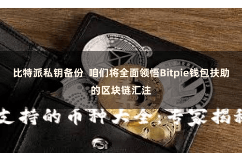 比特派私钥备份  咱们将全面领悟Bitpie钱包扶助的区块链汇注